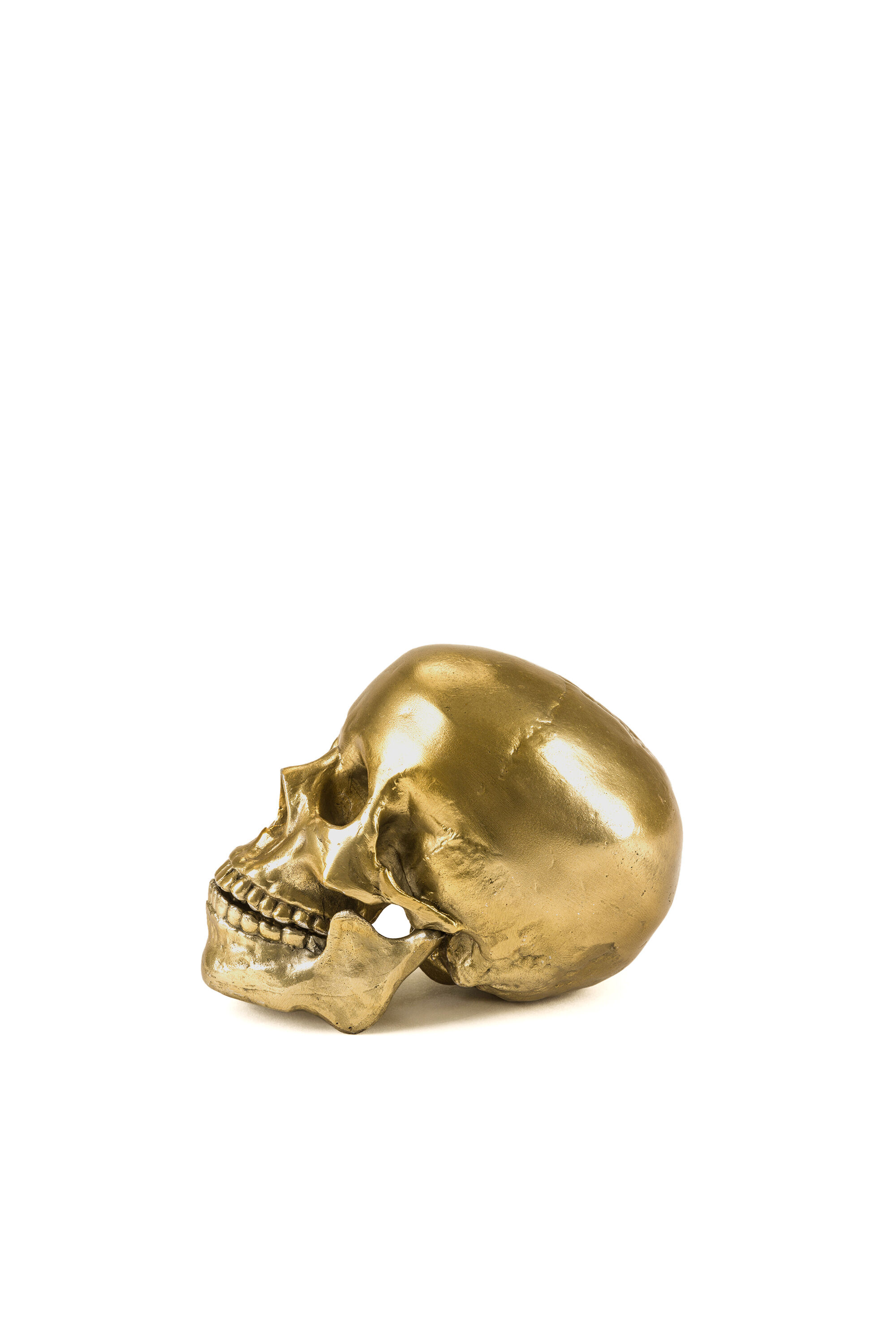Diesel - 10891 Wunderkammer, Unisex "Culture Skullture" Wunderkammer Human Skull in Oro - Image 2