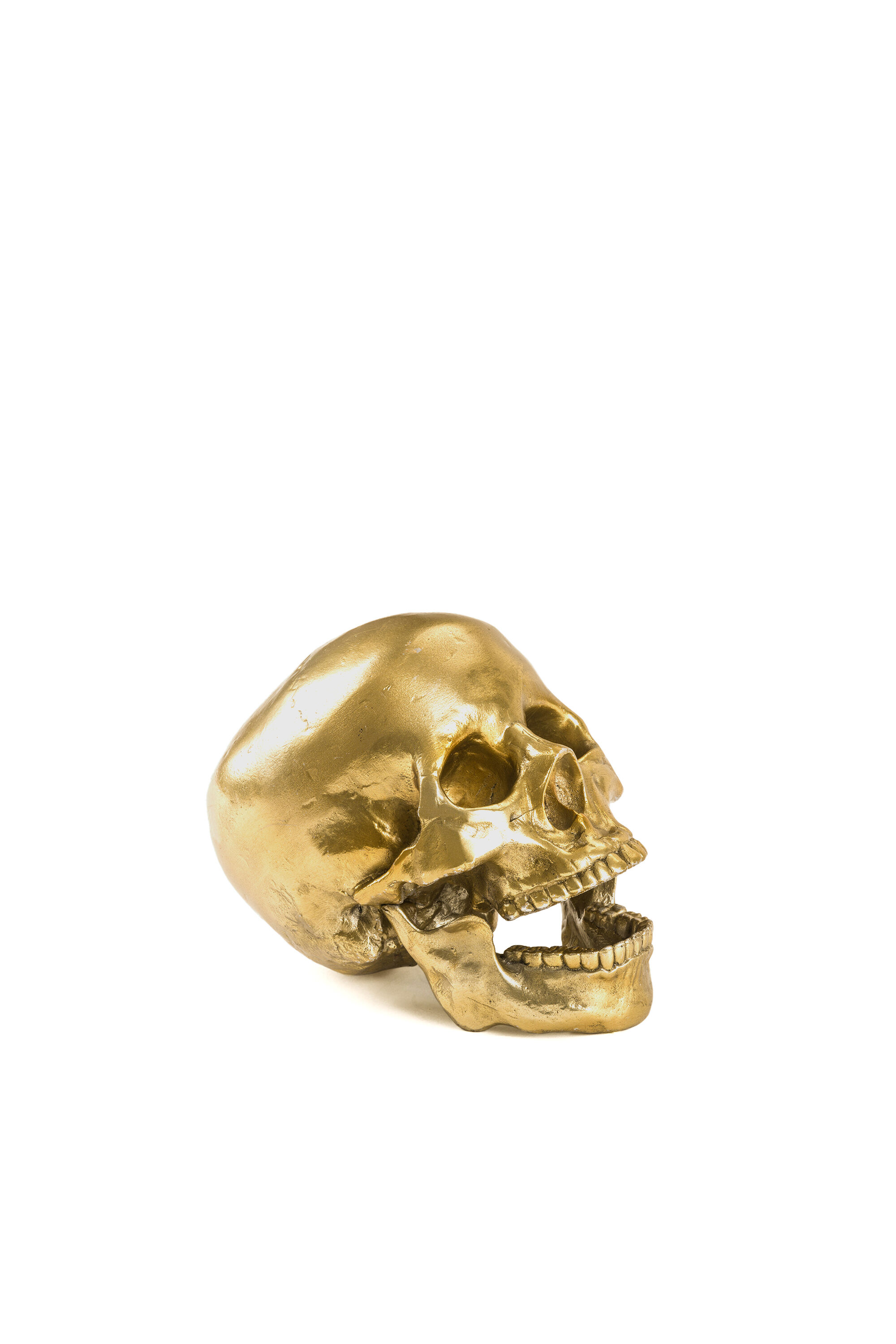 Diesel - 10891 Wunderkammer, Unisex "Culture Skullture" Wunderkammer Human Skull in Oro - Image 3