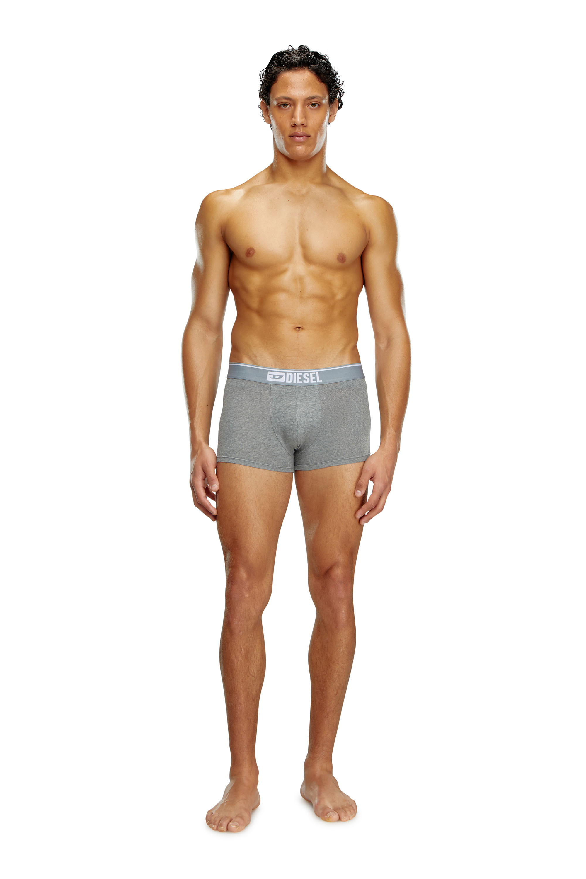 Diesel - UMBX-DAMIENTHREEPACK, Man's Three-pack of plain boxer in White/Grey - 4