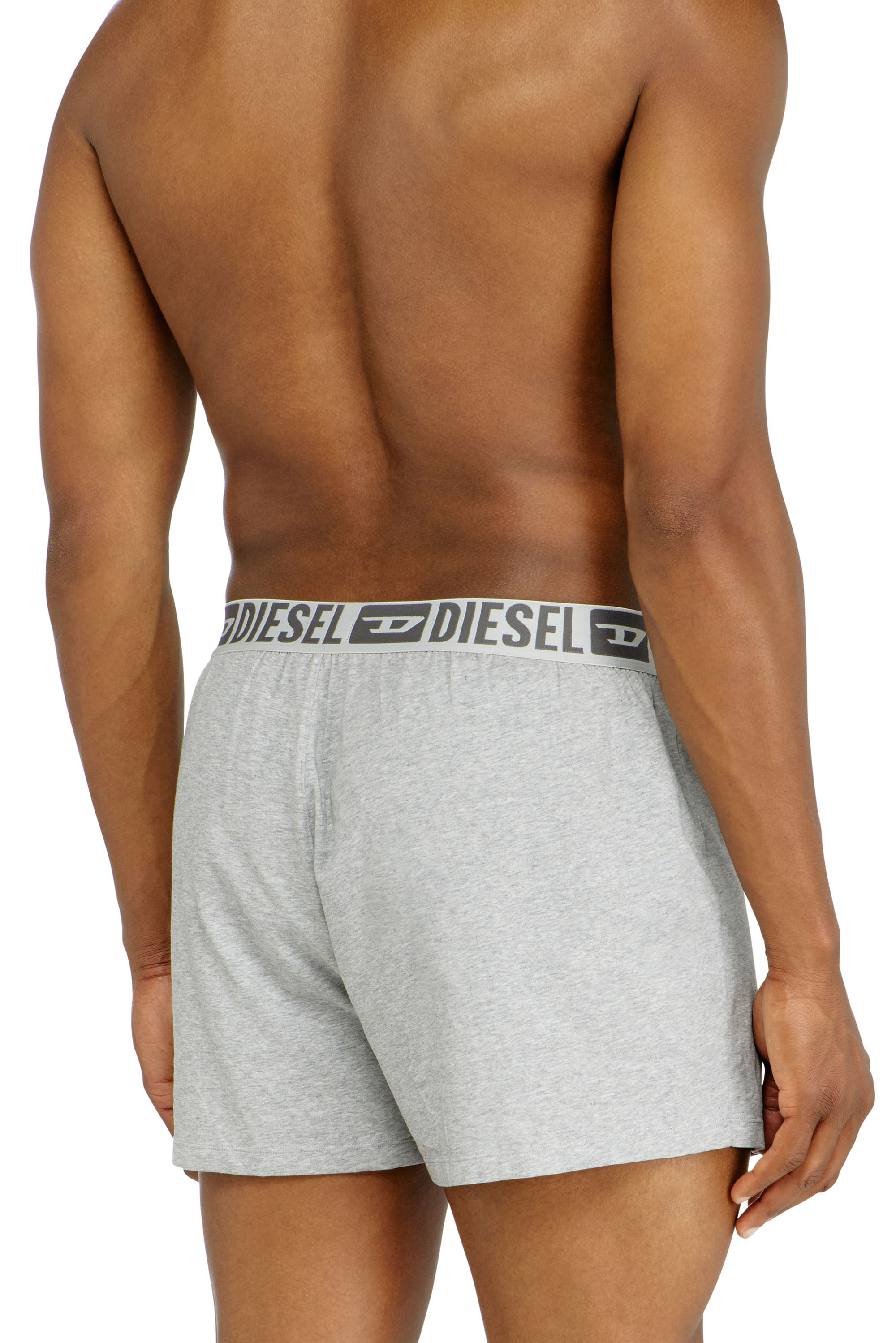 Diesel - STARKIE-D-CORE-2PACK, Man's Two-pack boxer shorts in stretch cotton in Grey - 4